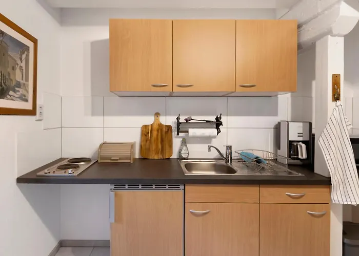 Aussicht Zur Burg Lägenhet Zaschwitz